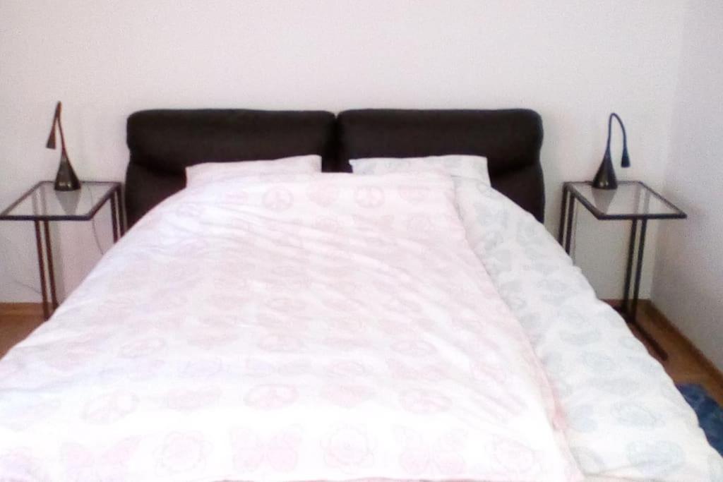 Apartment Botanical Garden Budget Zagreb